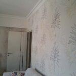 duvar kağıdı modelleri